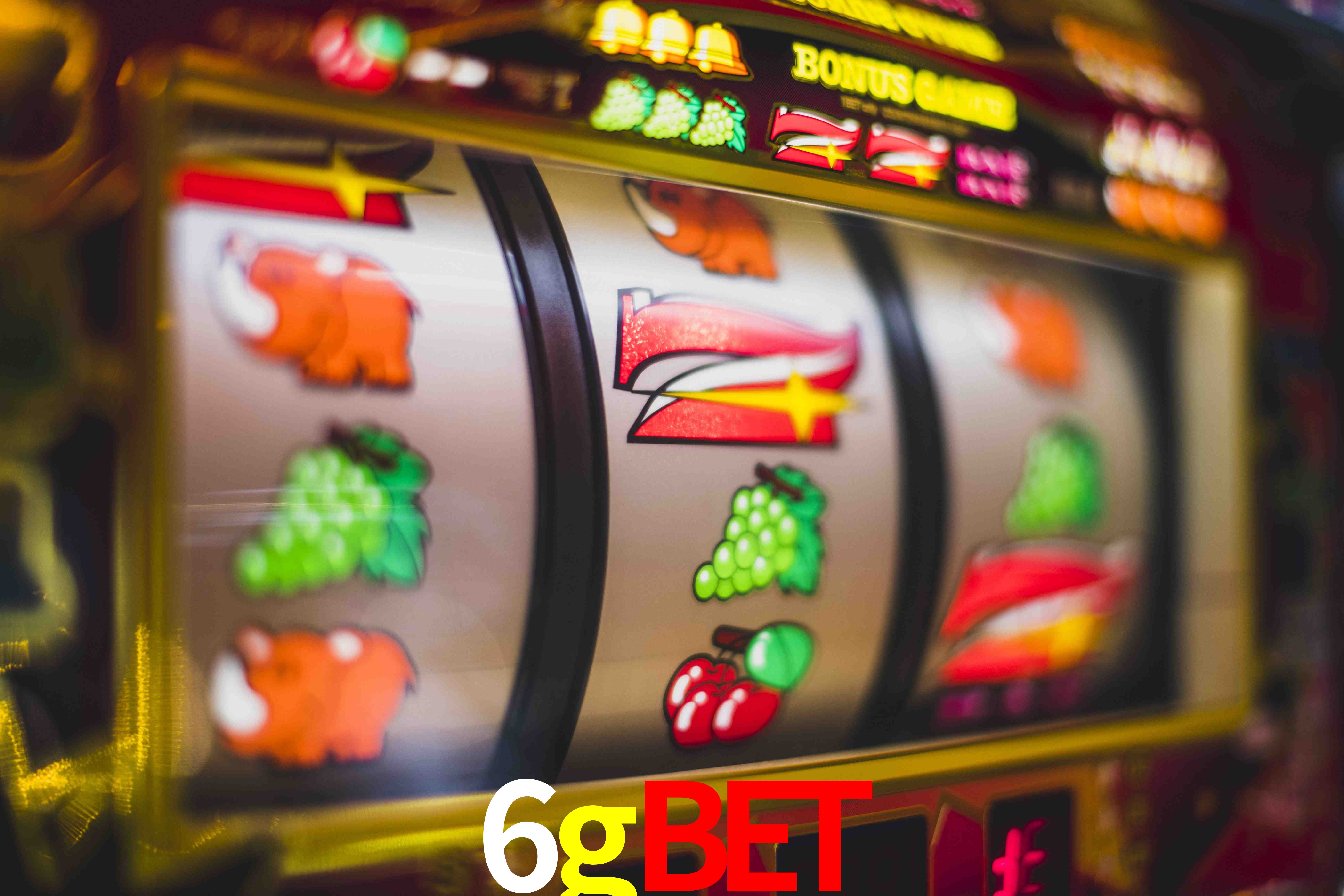 Sports Statistics 6gbet